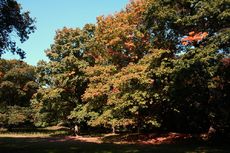 Herbststimmung- 038.jpg